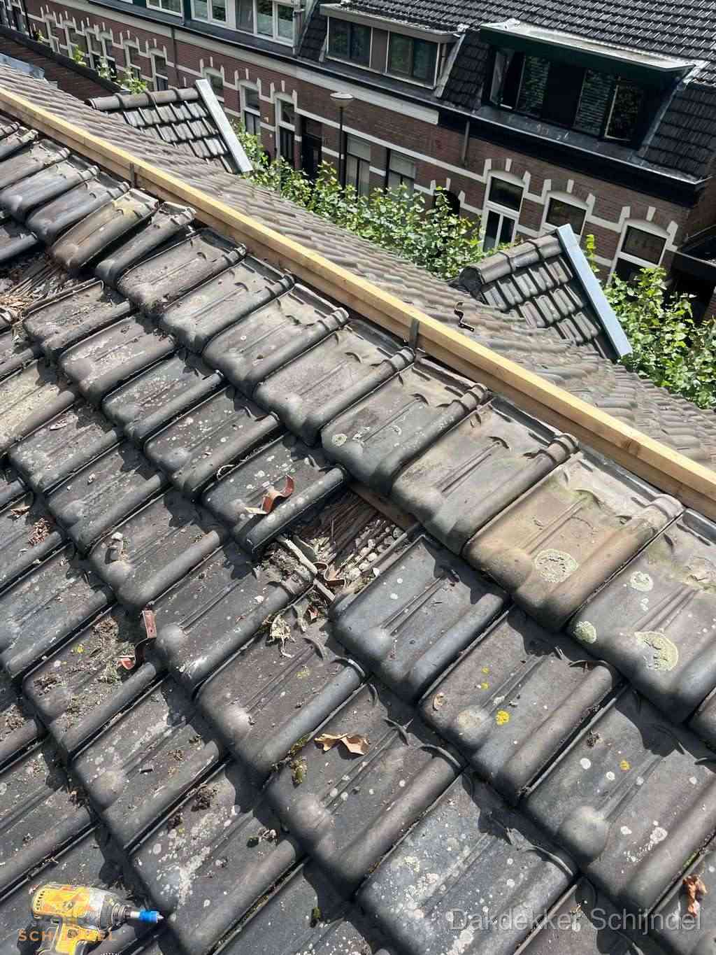 Dakonderhoud Schijndel Dakonderhoud Schijndel